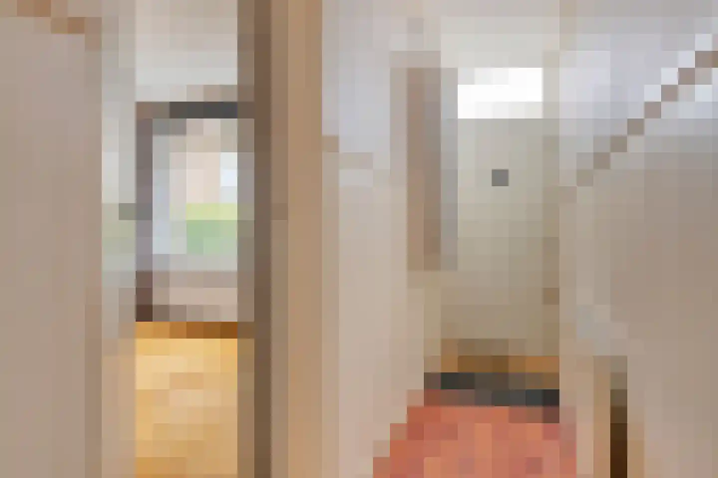 Hogendijk 6 Nieuw-Vossemeer thumbnail 10