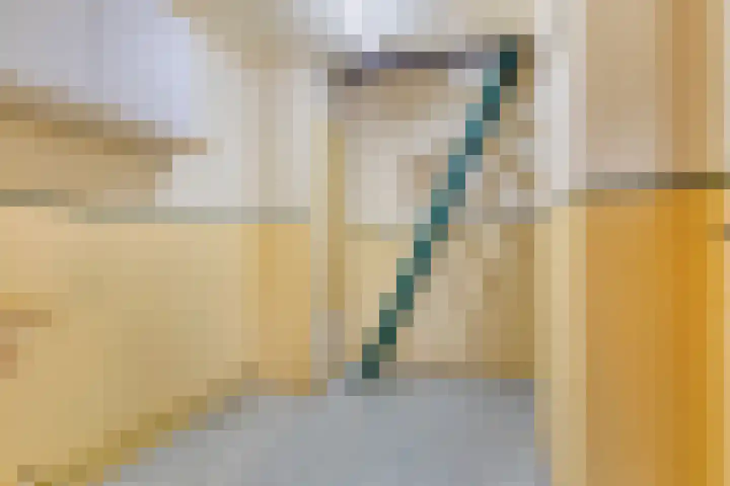 Hogendijk 6 Nieuw-Vossemeer thumbnail 27