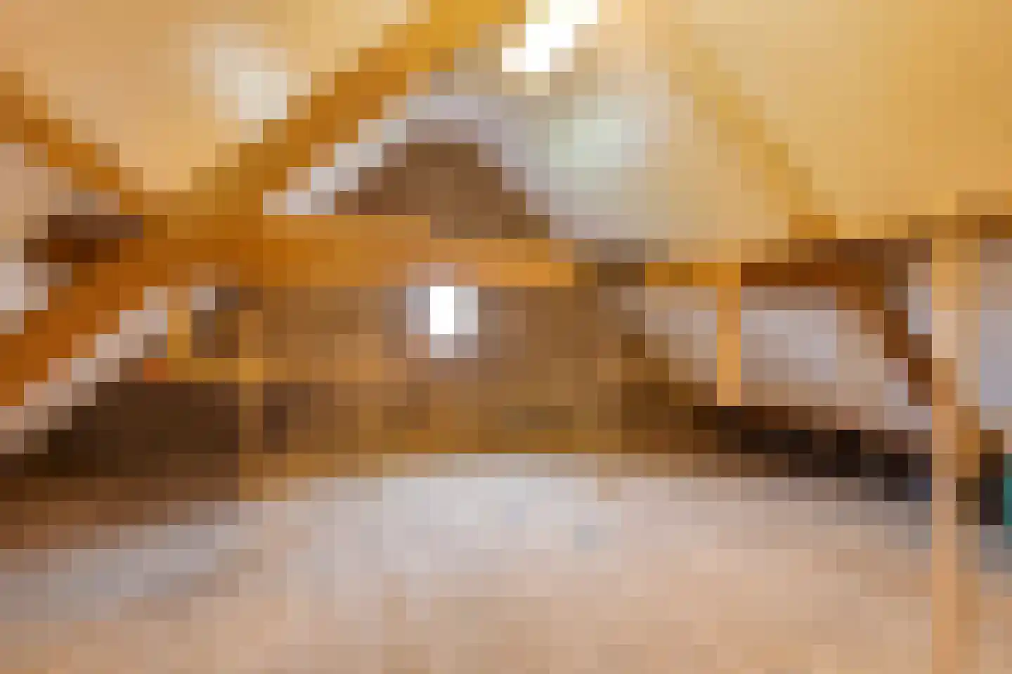 Hogendijk 6 Nieuw-Vossemeer thumbnail 29