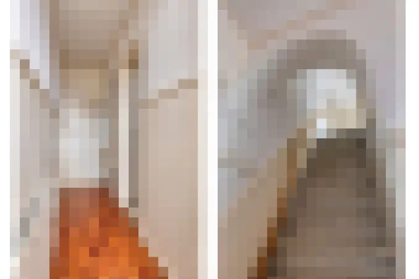 Hogendijk 6 Nieuw-Vossemeer thumbnail 30