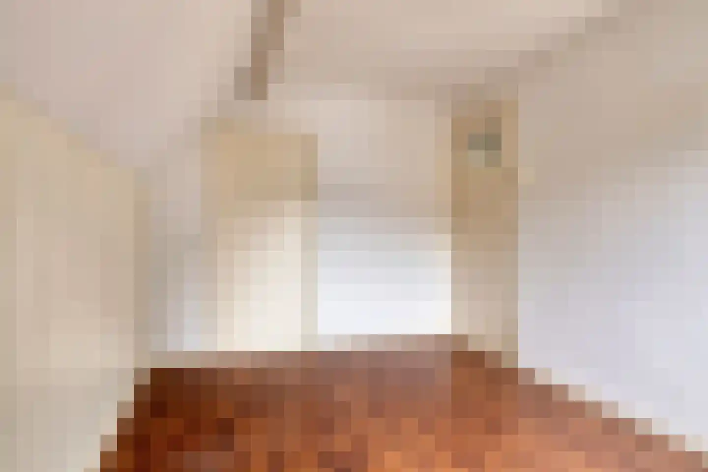 Hogendijk 6 Nieuw-Vossemeer thumbnail 35