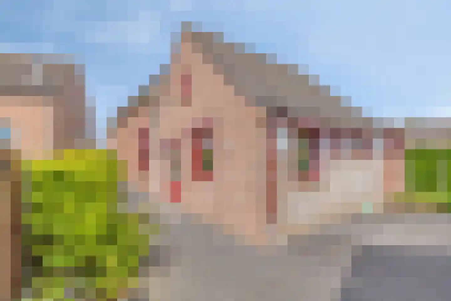 Hogendijk 6 Nieuw-Vossemeer thumbnail 40