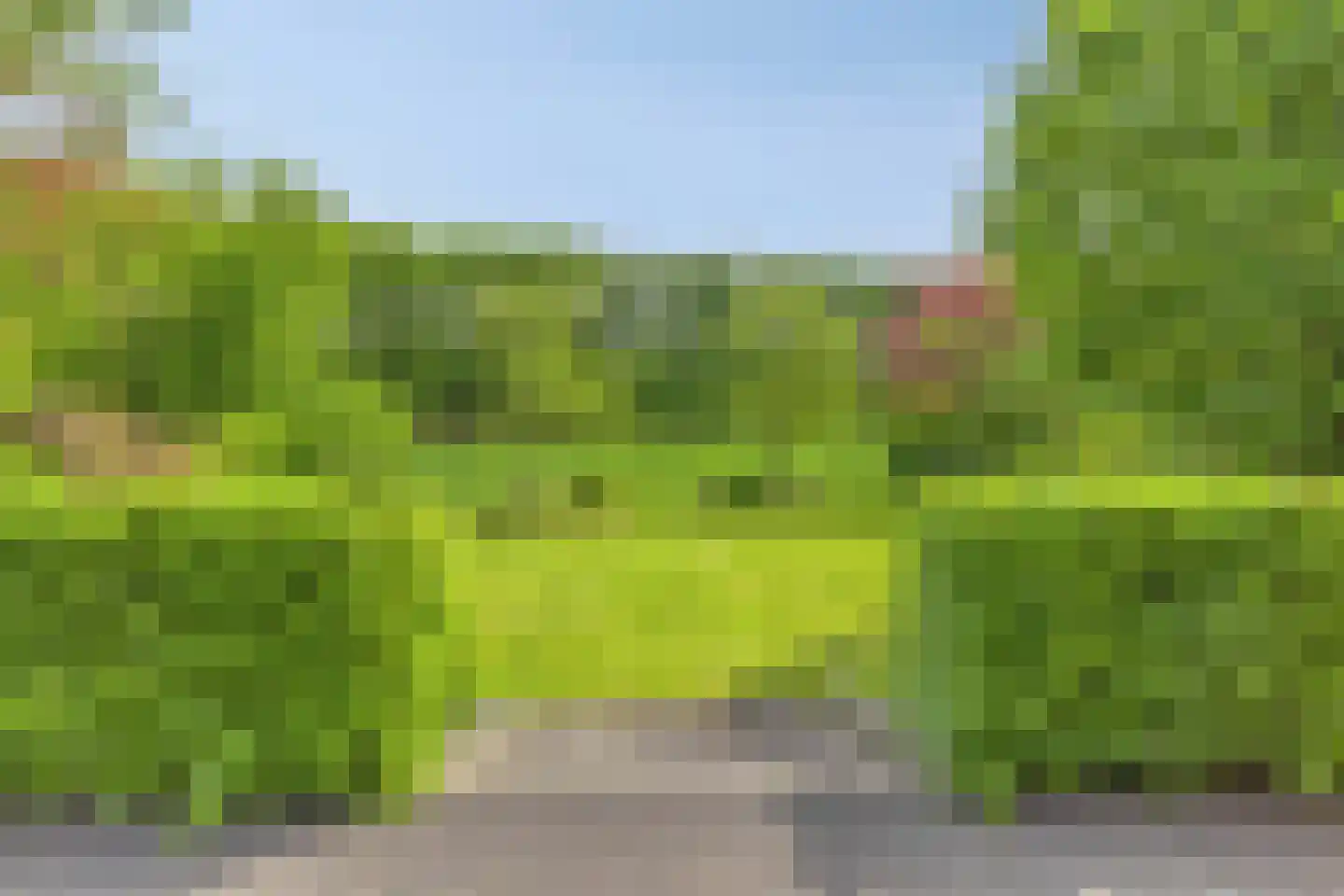 Hogendijk 6 Nieuw-Vossemeer thumbnail 43