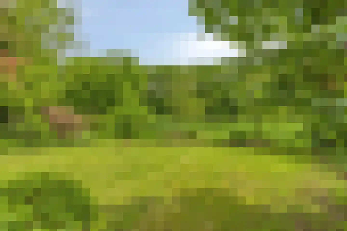 Hogendijk 6 Nieuw-Vossemeer thumbnail 44