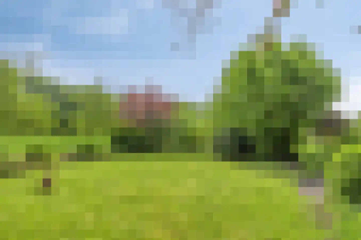 Hogendijk 6 Nieuw-Vossemeer thumbnail 45