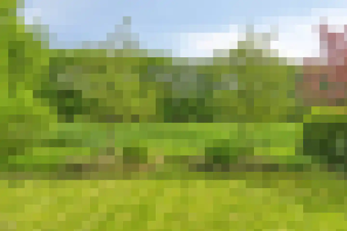 Hogendijk 6 Nieuw-Vossemeer thumbnail 47