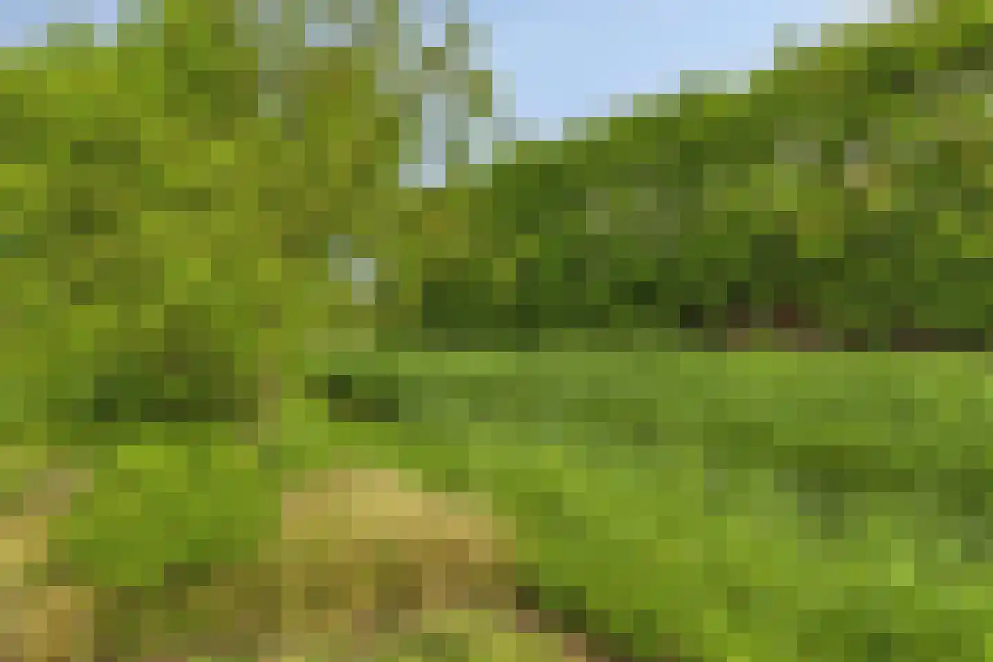Hogendijk 6 Nieuw-Vossemeer thumbnail 48