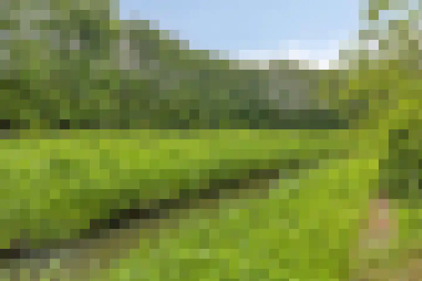 Hogendijk 6 Nieuw-Vossemeer thumbnail 49