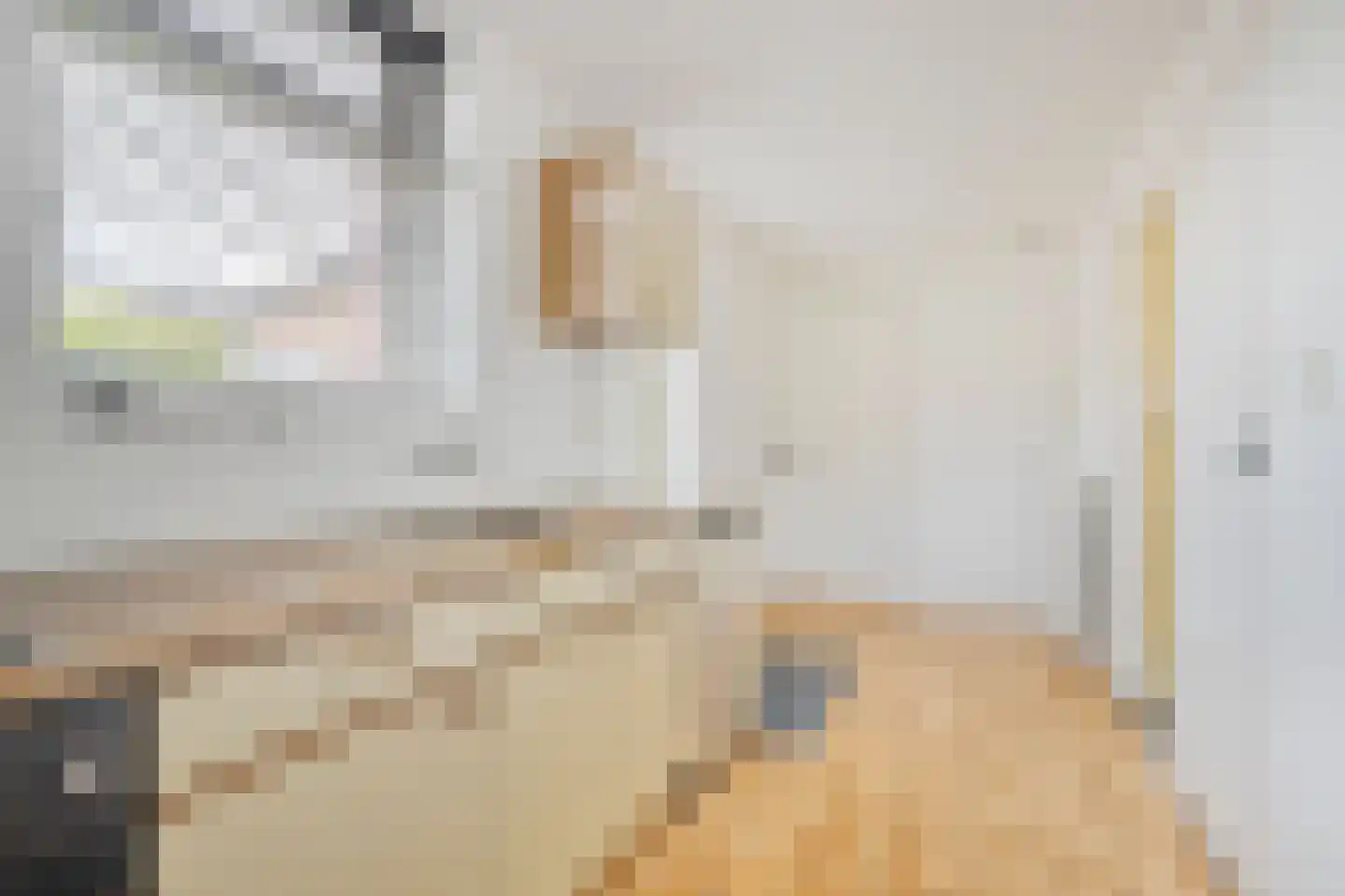 Hogendijk 6 Nieuw-Vossemeer thumbnail 5