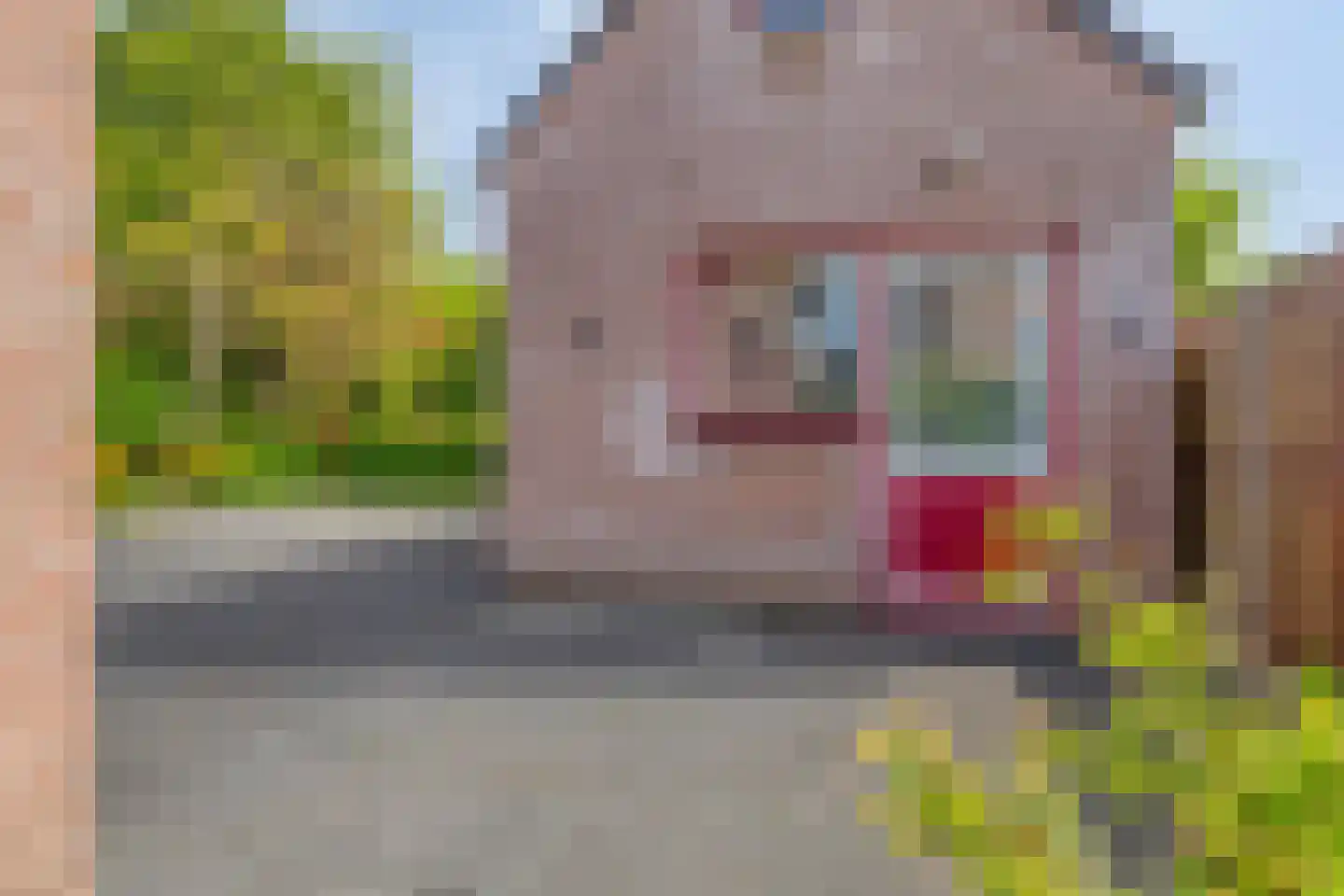 Hogendijk 6 Nieuw-Vossemeer thumbnail 55