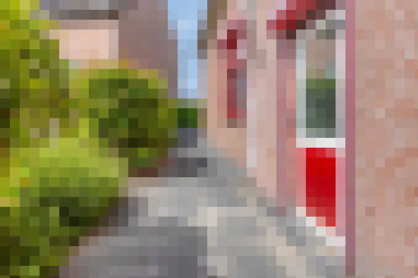 Hogendijk 6 Nieuw-Vossemeer thumbnail 56