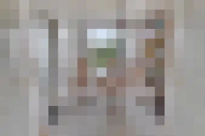 Hogendijk 64 Nieuw-Vossemeer thumbnail 10