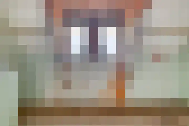 Hogendijk 64 Nieuw-Vossemeer thumbnail 22