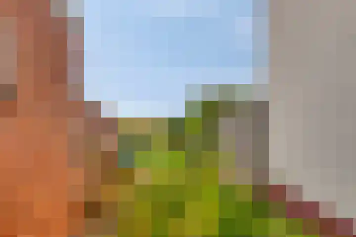 Hogendijk 64 Nieuw-Vossemeer thumbnail 25