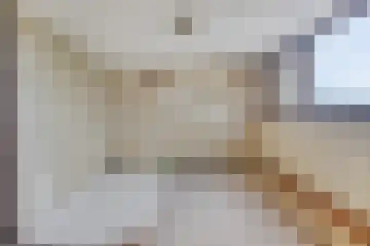 Hogendijk 64 Nieuw-Vossemeer thumbnail 6