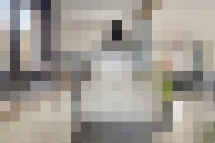 Hogendijk 64 Terneuzen thumbnail 10