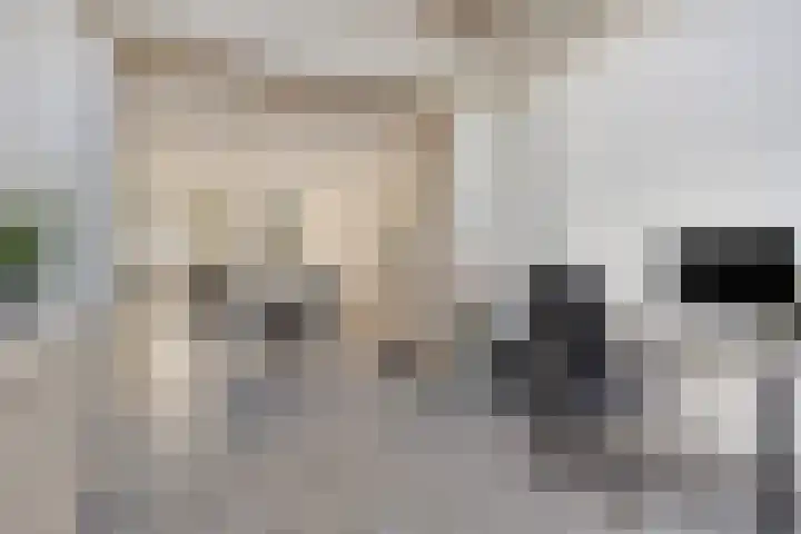 Hogendijk 64 Terneuzen thumbnail 13