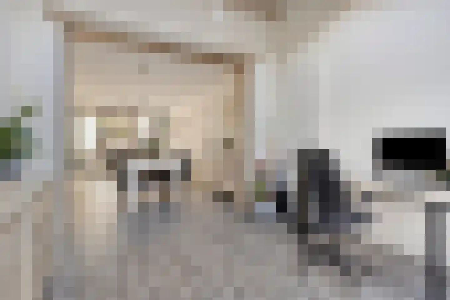 Hogendijk 64 Terneuzen thumbnail 13