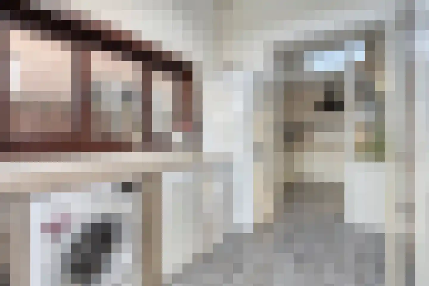 Hogendijk 64 Terneuzen thumbnail 15