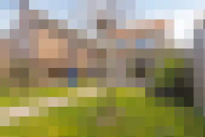 Hogendijk 64 Terneuzen thumbnail 28