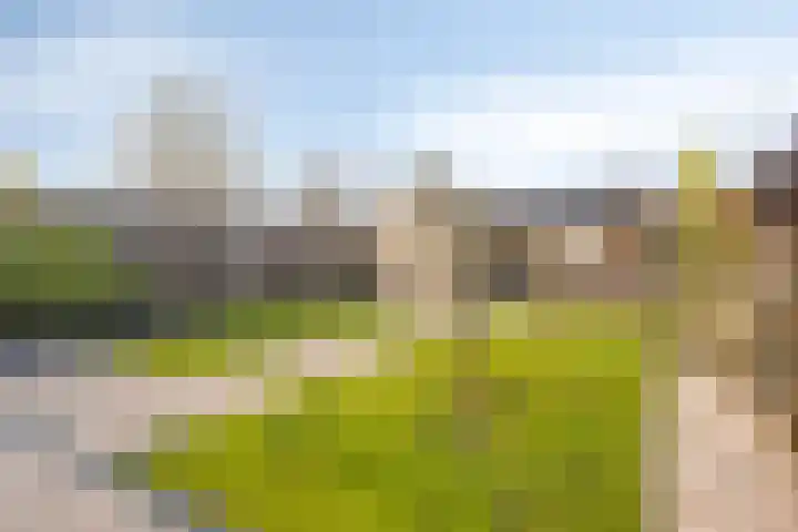 Hogendijk 64 Terneuzen thumbnail 29