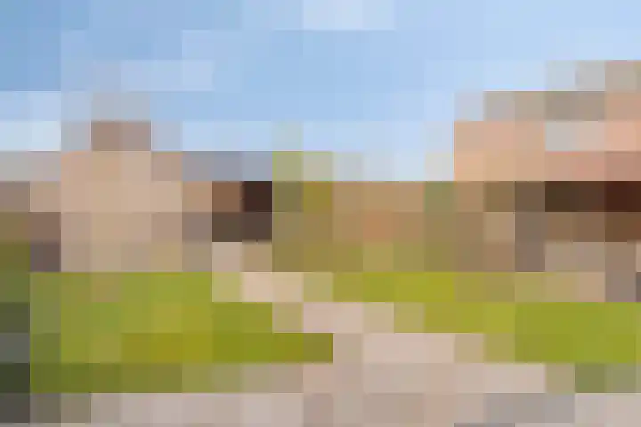 Hogendijk 64 Terneuzen thumbnail 30