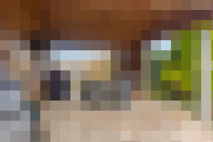 Hogendijk 64 Terneuzen thumbnail 32