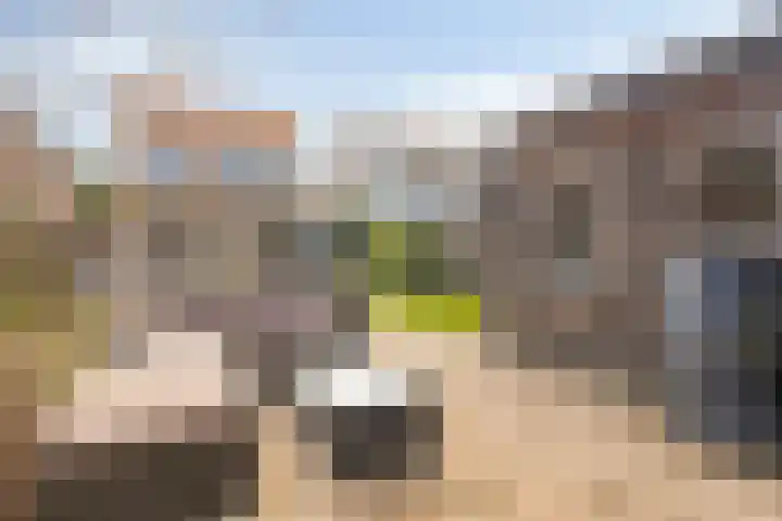 Hogendijk 64 Terneuzen thumbnail 33