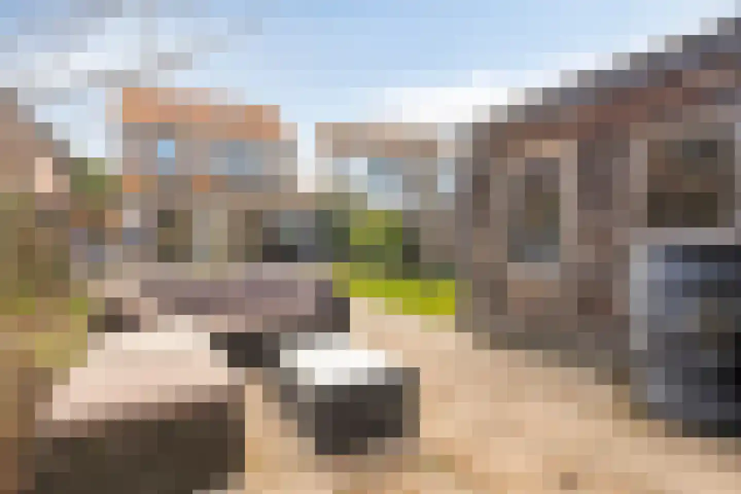 Hogendijk 64 Terneuzen thumbnail 33