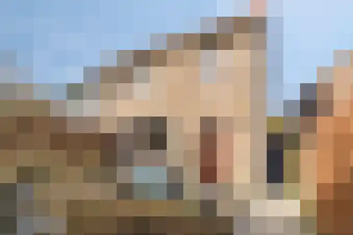 Hogendijk 64 Terneuzen thumbnail 34