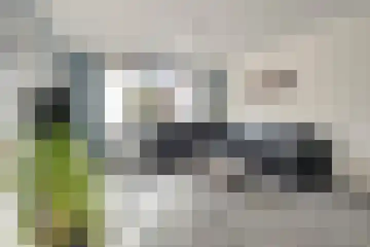 Hogendijk 64 Terneuzen thumbnail 4