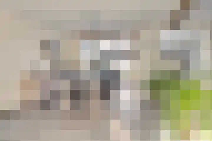 Hogendijk 64 Terneuzen thumbnail 6