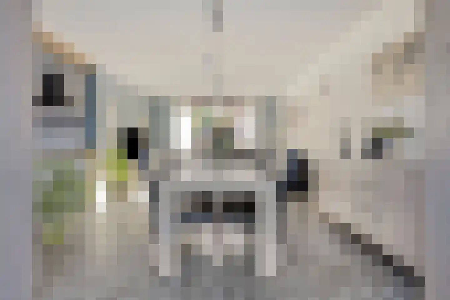 Hogendijk 64 Terneuzen thumbnail 7
