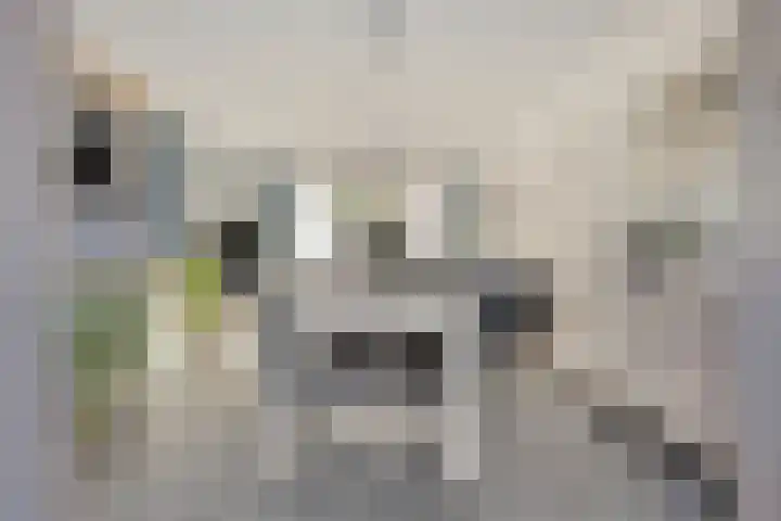 Hogendijk 64 Terneuzen thumbnail 7