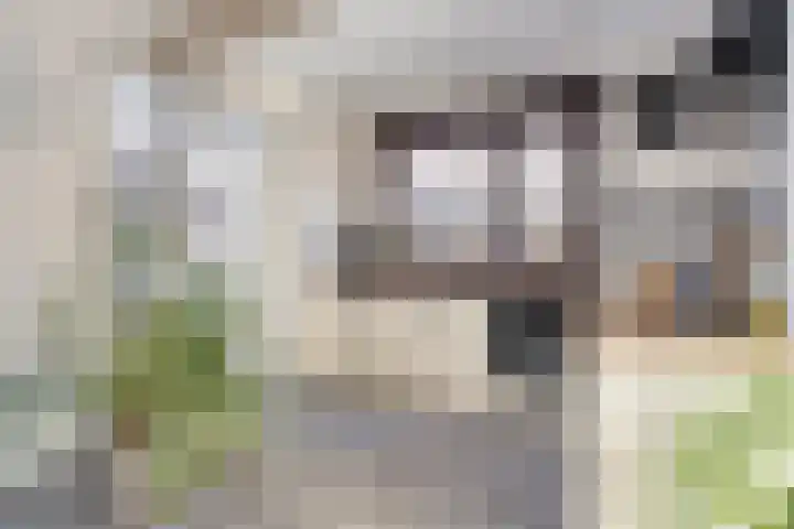 Hogendijk 64 Terneuzen thumbnail 9