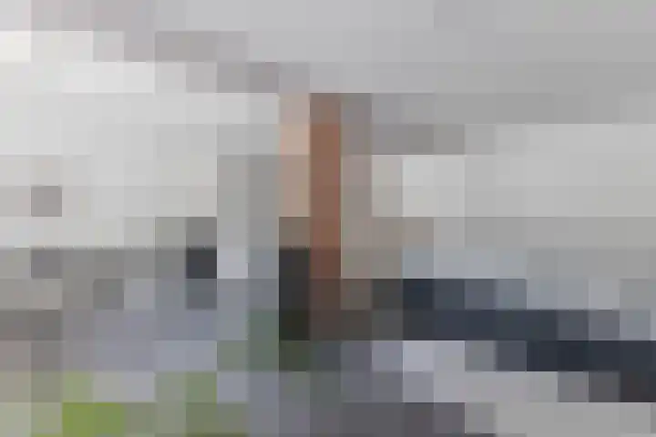 Hogendijk 71 Zaandam thumbnail 25
