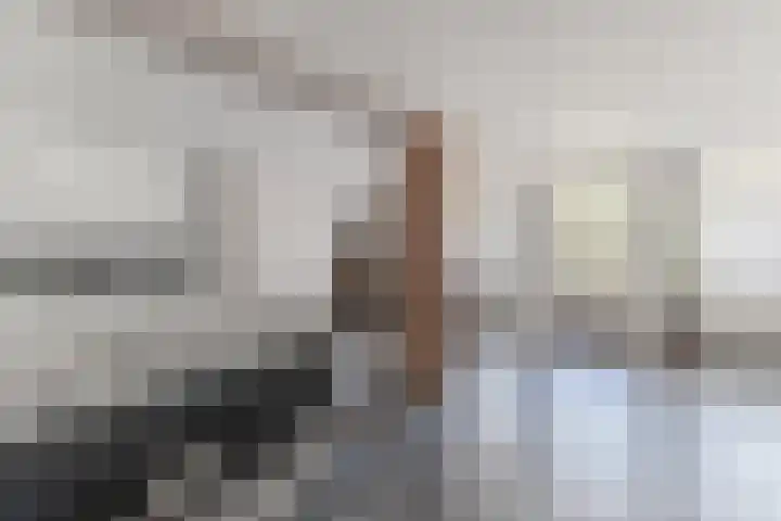 Hogendijk 71 Zaandam thumbnail 26