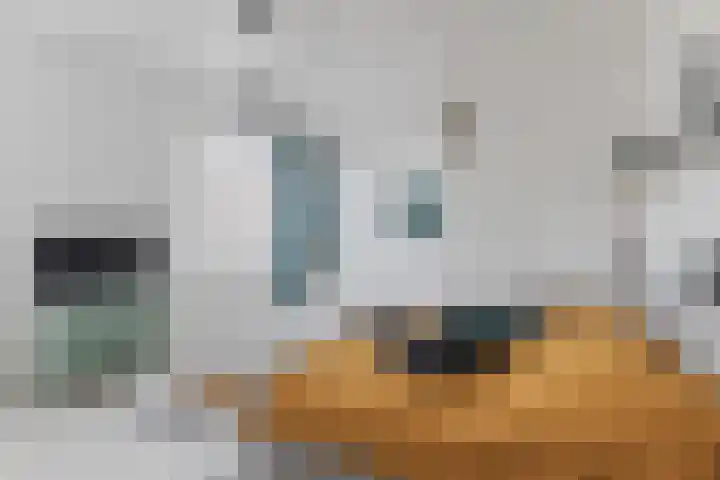 Hogendijk 71 Zaandam thumbnail 38
