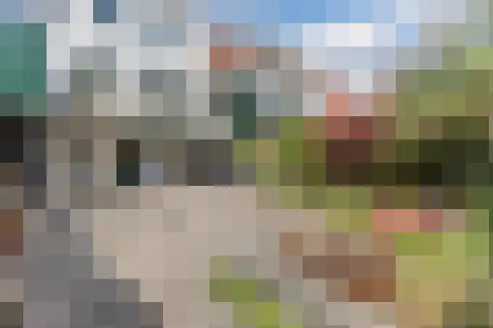 Hogendijk 71 Zaandam thumbnail 59