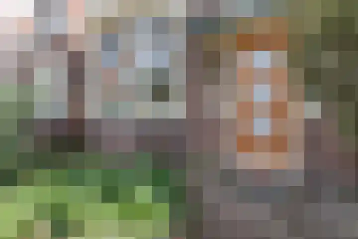 Hogendijk 71 Zaandam thumbnail 8
