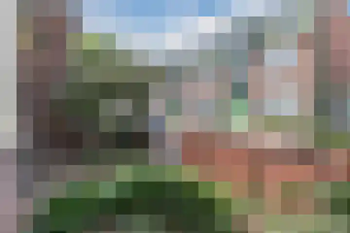 Hogendijk 71 Zaandam thumbnail 9