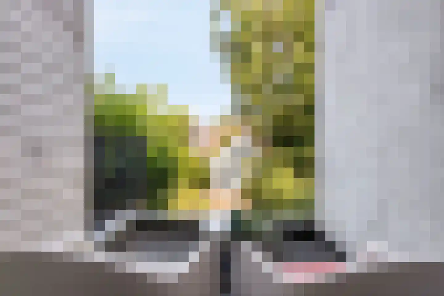 Hogendijk 98 A Zaandam thumbnail 11