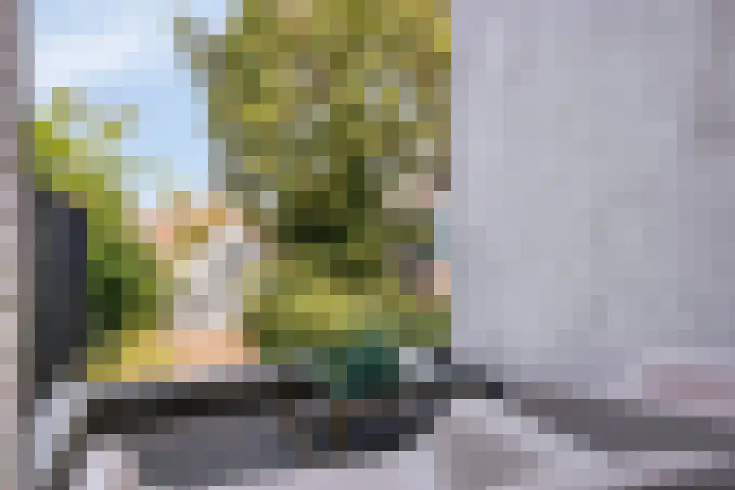 Hogendijk 98 A Zaandam thumbnail 13