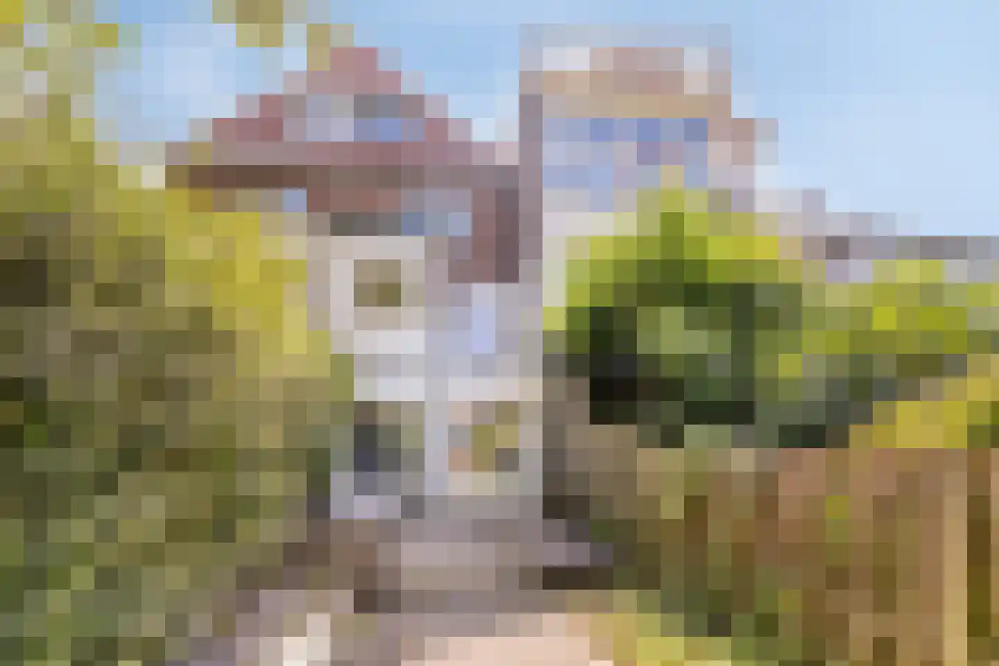 Hogendijk 98 A Zaandam thumbnail 26