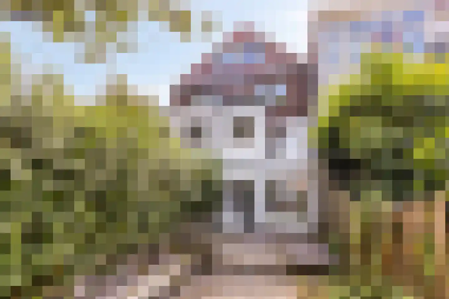 Hogendijk 98 A Zaandam thumbnail 27