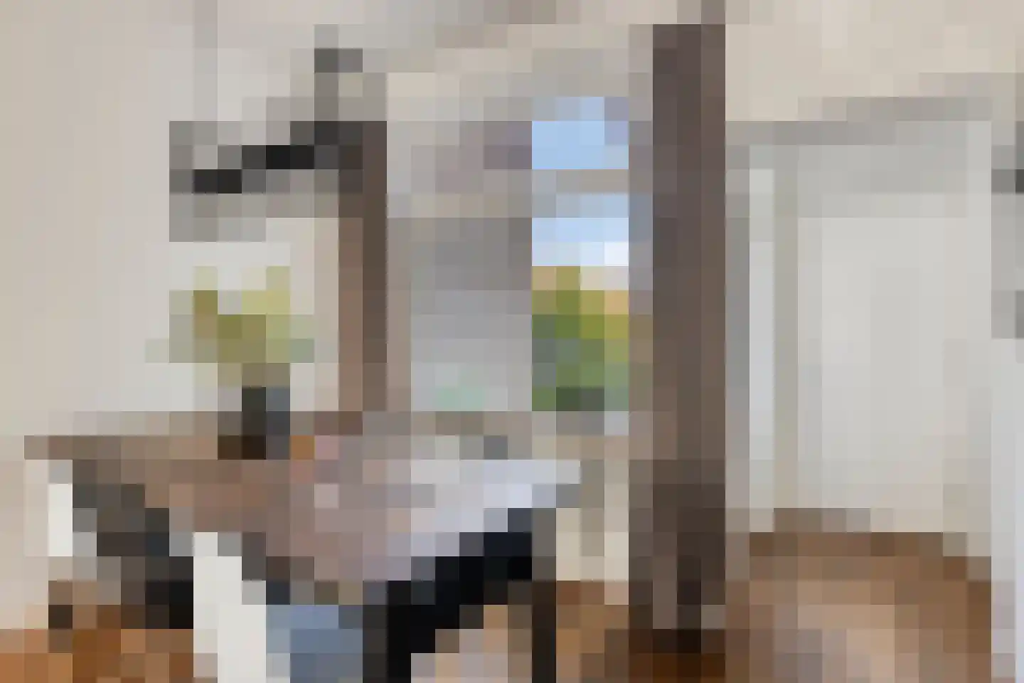 Hogendijk 98 A Zaandam thumbnail 9