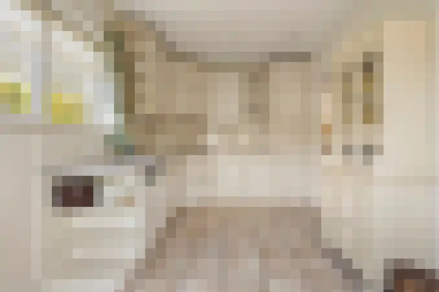 Hogendriesplein 6 Moergestel thumbnail 16