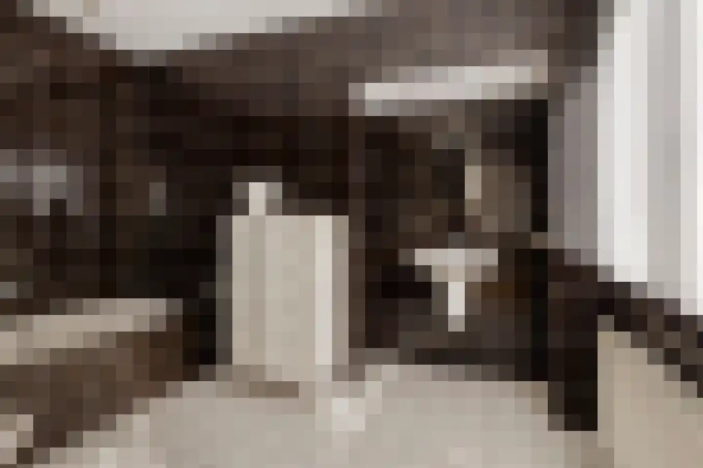 Hogendriesplein 6 Moergestel thumbnail 22