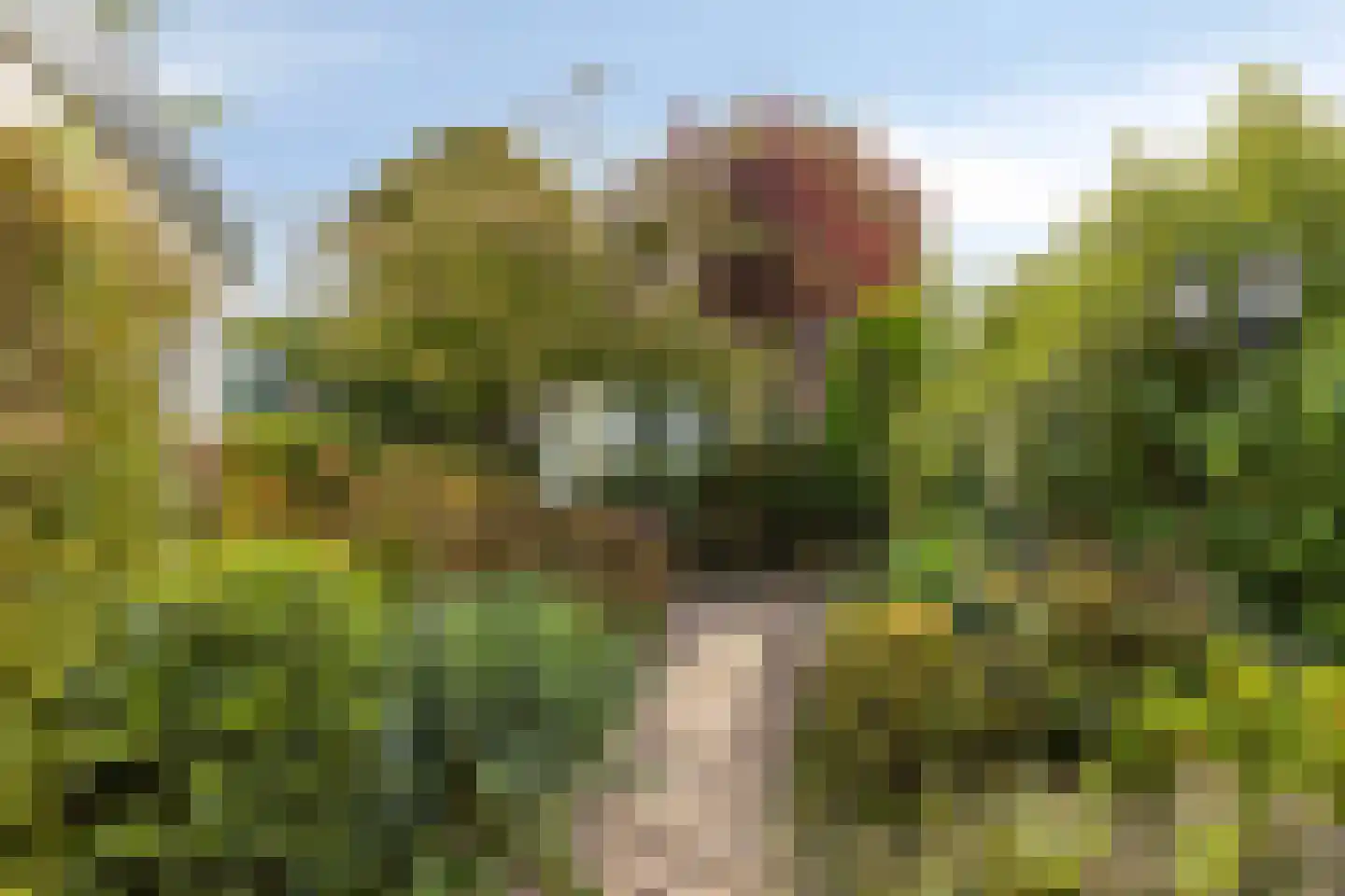 Hogendriesplein 6 Moergestel thumbnail 29