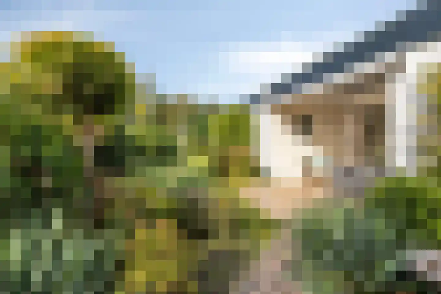 Hogendriesplein 6 Moergestel thumbnail 30
